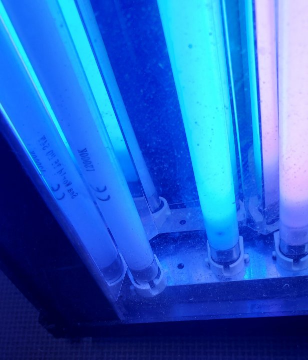 20201125_101622.jpg