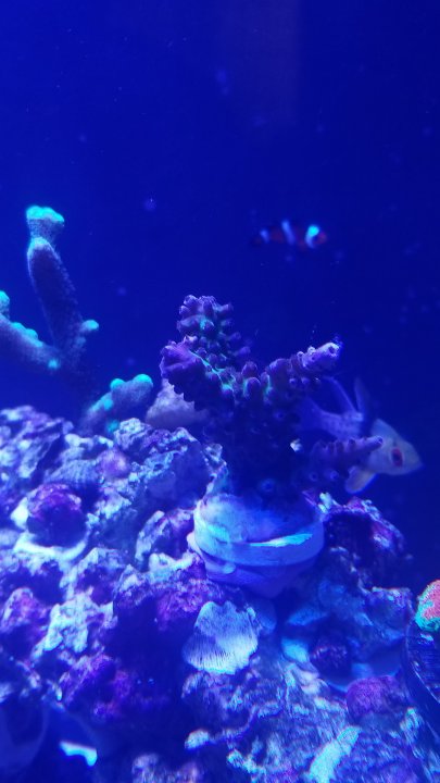 20201126_162246.jpg
