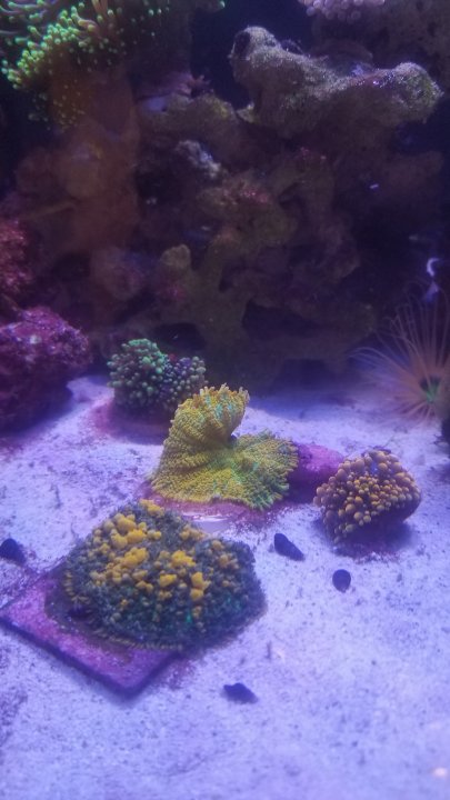 20201129_153047.jpg