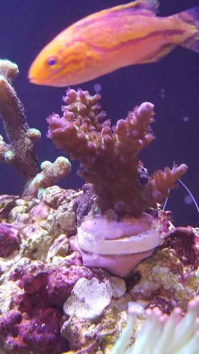 20201130_173501.jpg