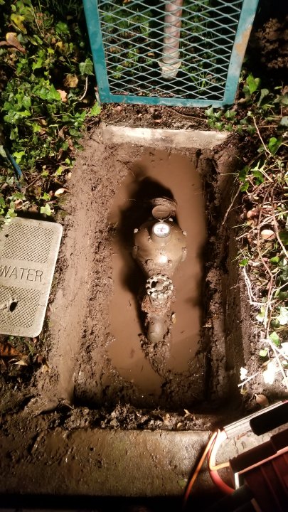 20201201_184037.jpg