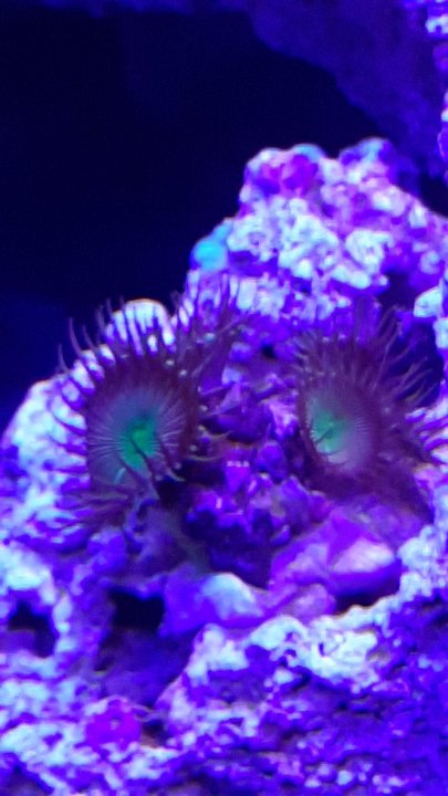 20201202_201645.jpg
