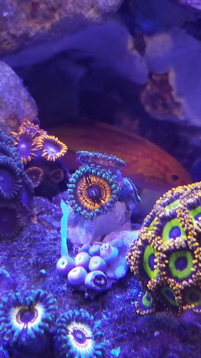 20201203_211905.jpg