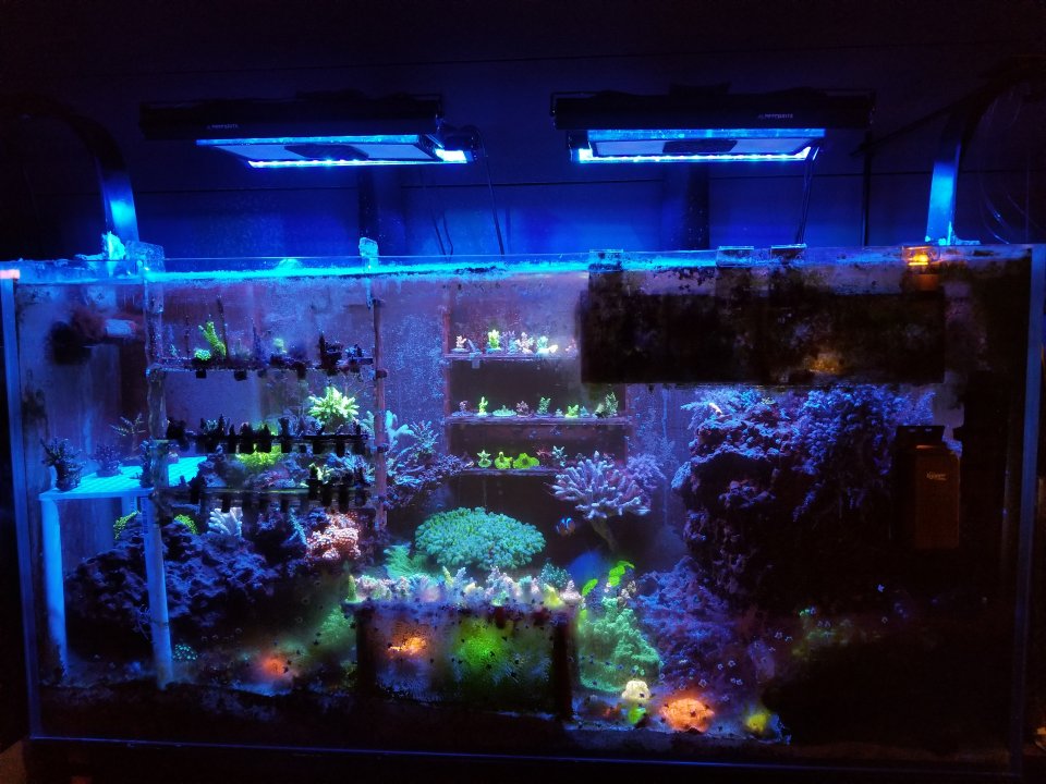 20201204_012725.jpg