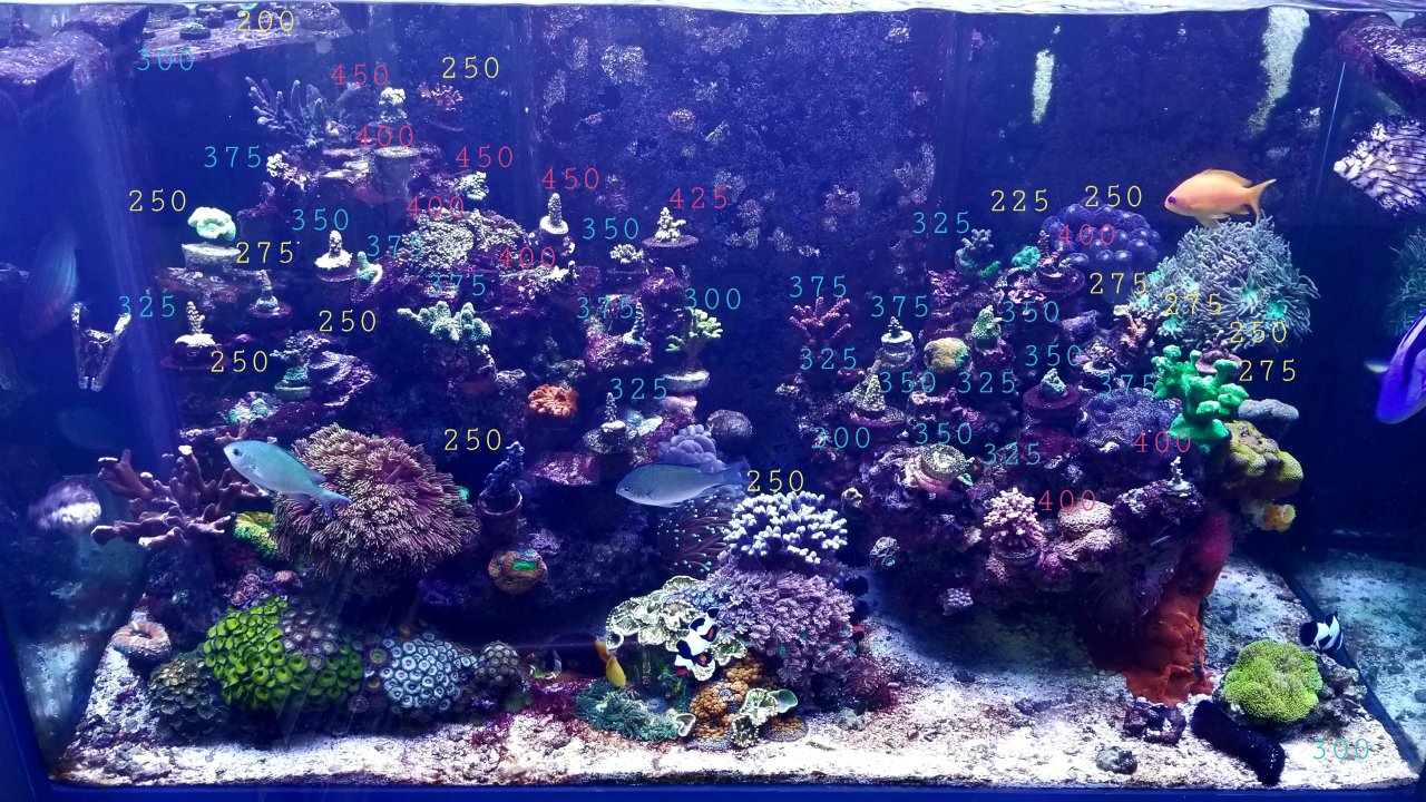 20201204_142528.jpg