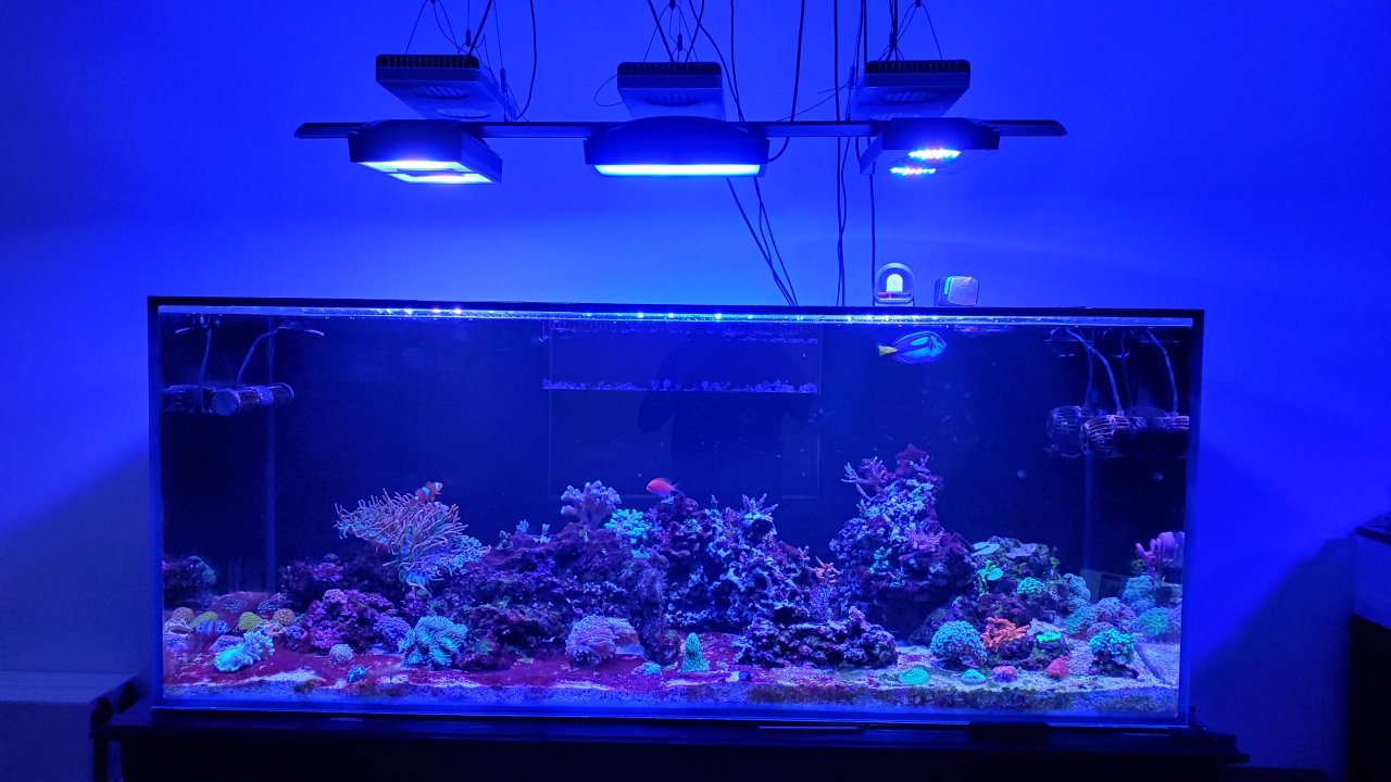 20201205_151555.jpg