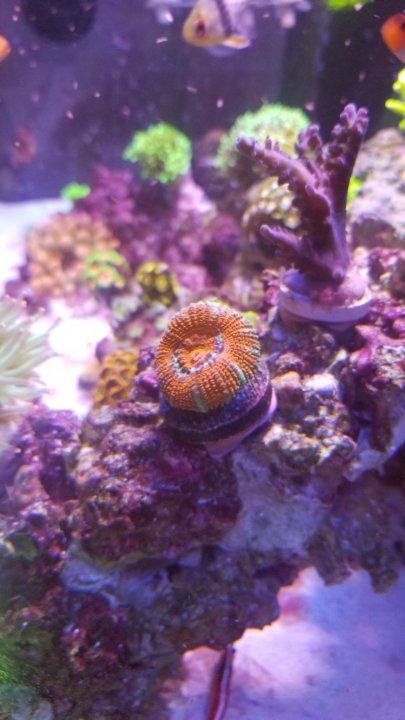 20201208_115722.jpg