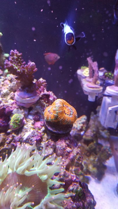 20201208_115733.jpg