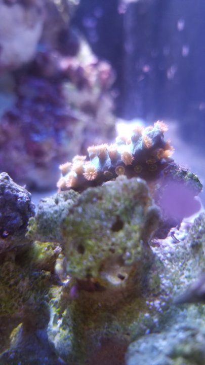 20201208_115817.jpg