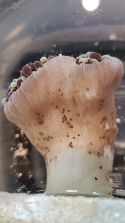 20201209_120237.jpg