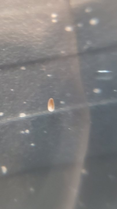 20201209_120624.jpg