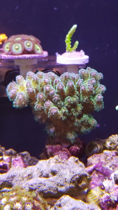 20201210_165814.jpg