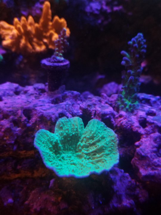 20201210_192602.jpg