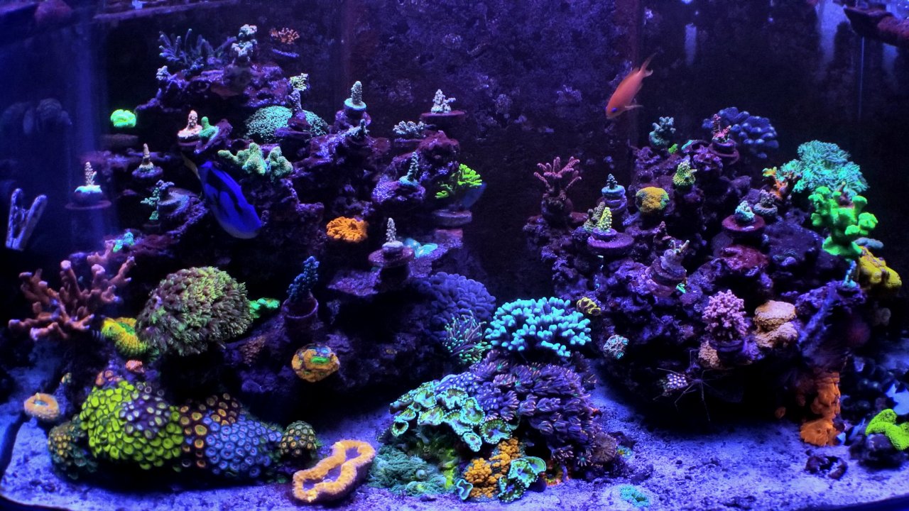 20201210_230749.jpg