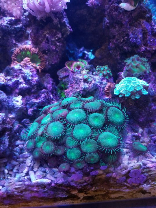 20201211_160252.jpg