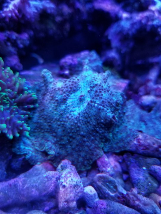 20201211_160443.jpg