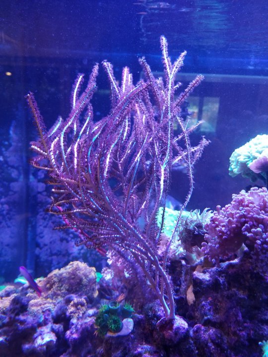 20201212_161919.jpg