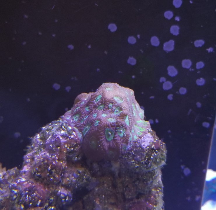20201212_182351.jpg