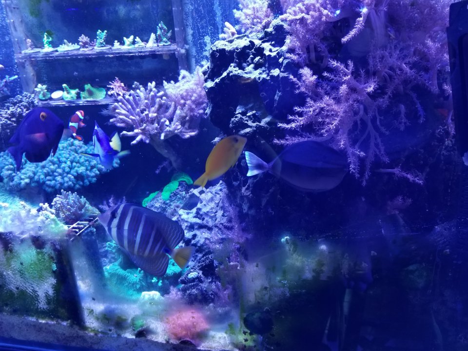 20201214_125031.jpg