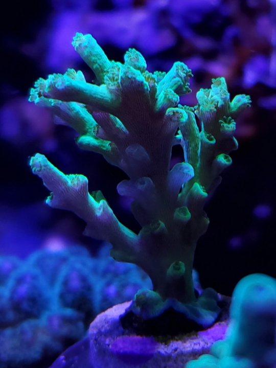 20201217_221120.jpg