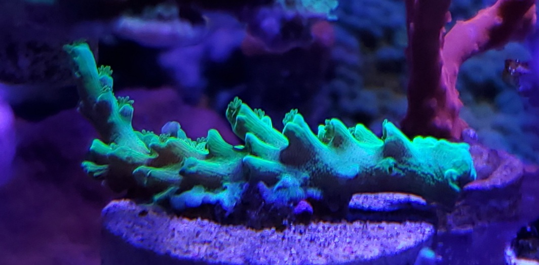 20201217_221154.jpg