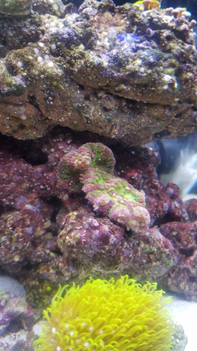20201218_201536.jpg