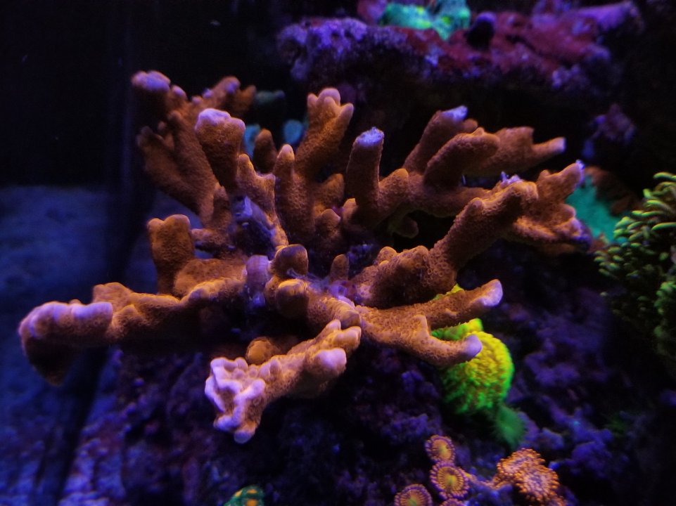 20201219_185913.jpg