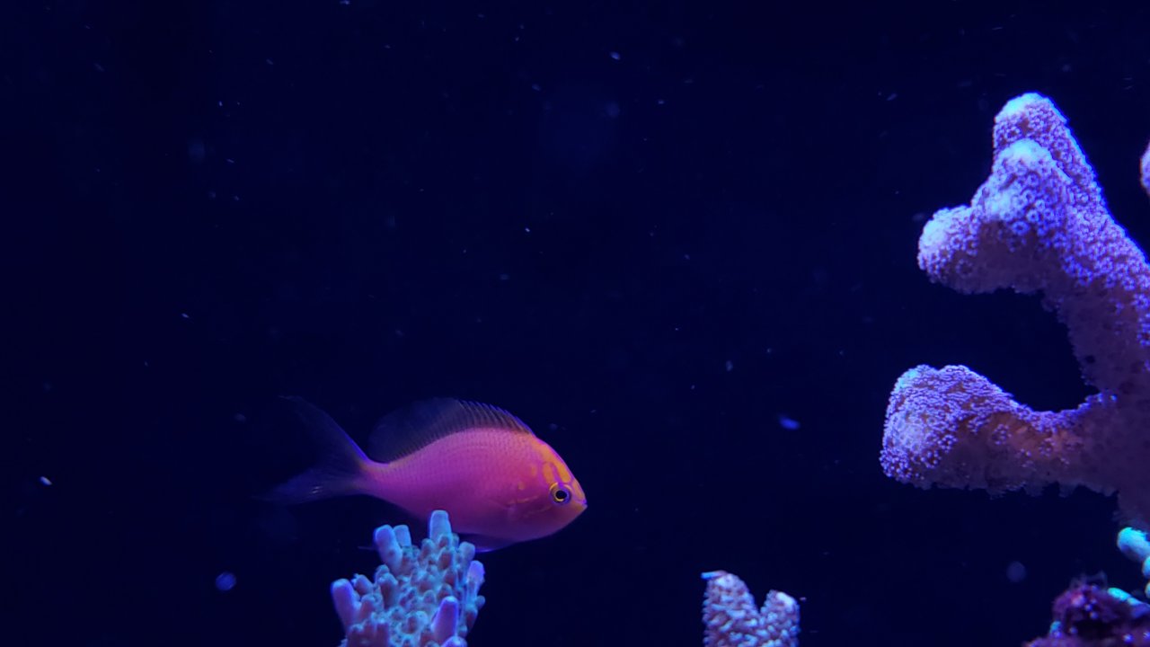 20201219_202315.jpg