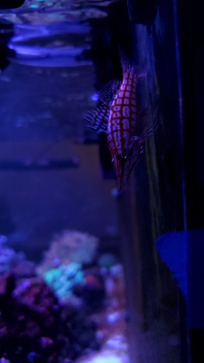20201219_202457.jpg