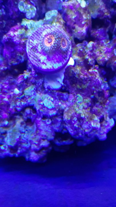 20201219_213144.jpg