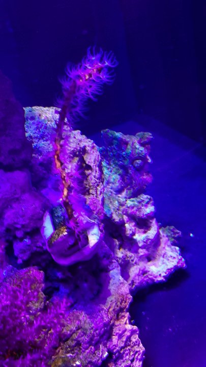 20201219_213207.jpg