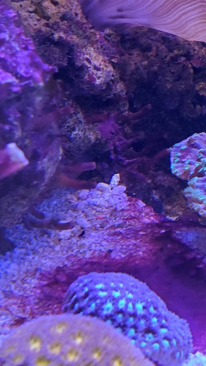 20201220_151948.jpg