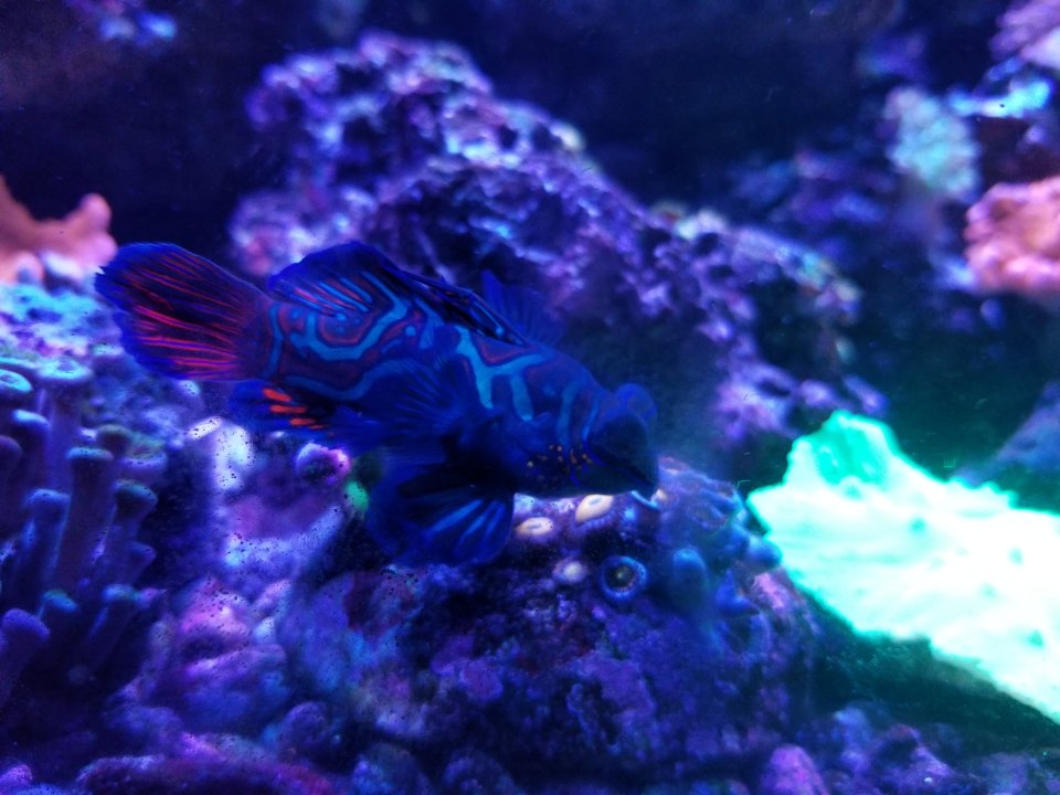 20201221_143134.jpg