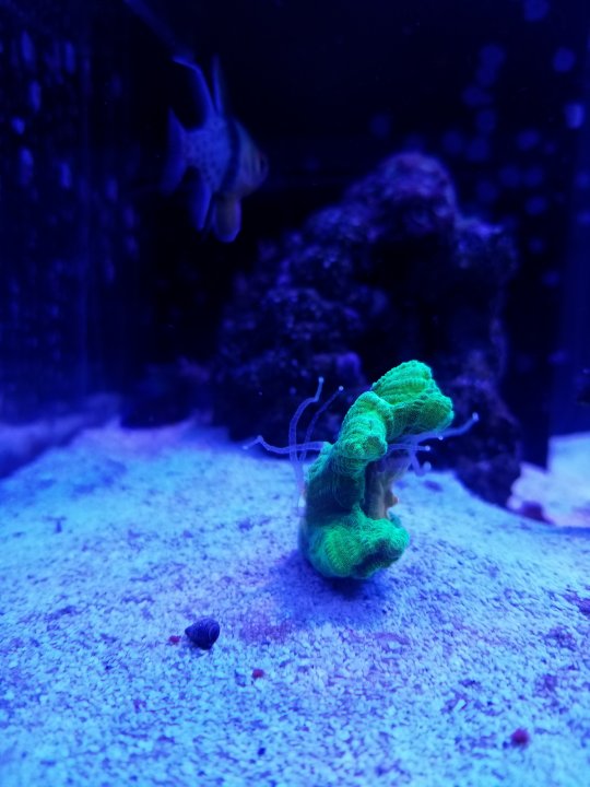 20201221_173440.jpg