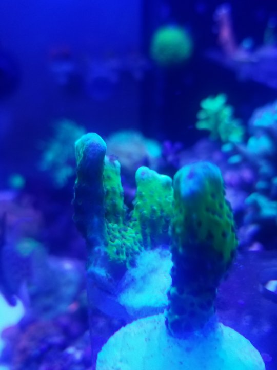 20201223_173243.jpg