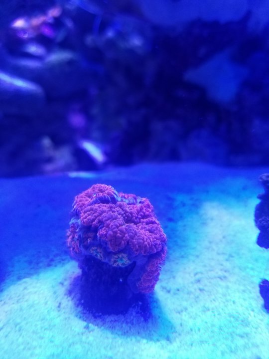 20201223_173304.jpg