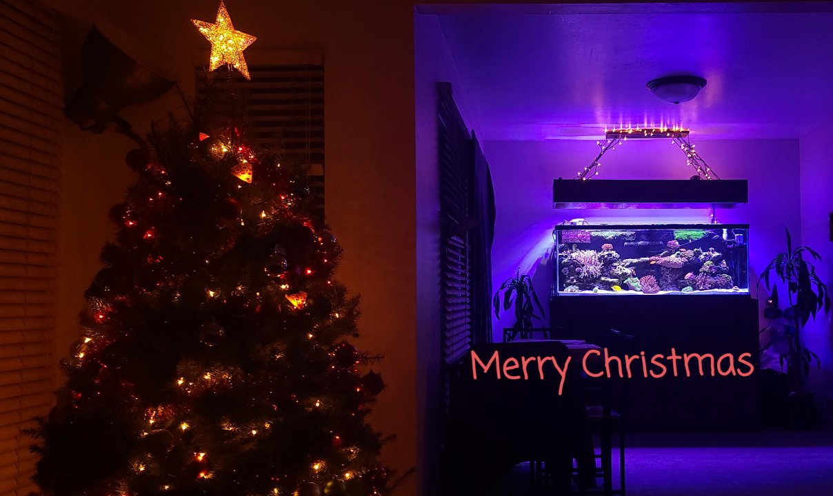 20201224_210213.jpg
