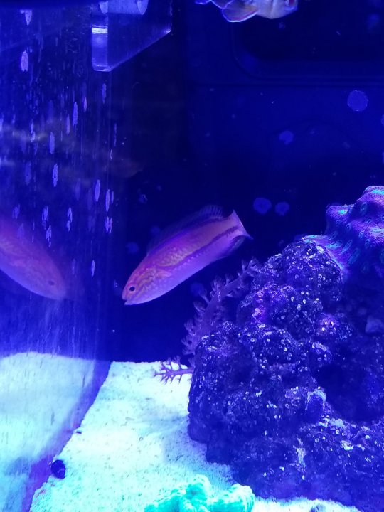 20201225_134047.jpg