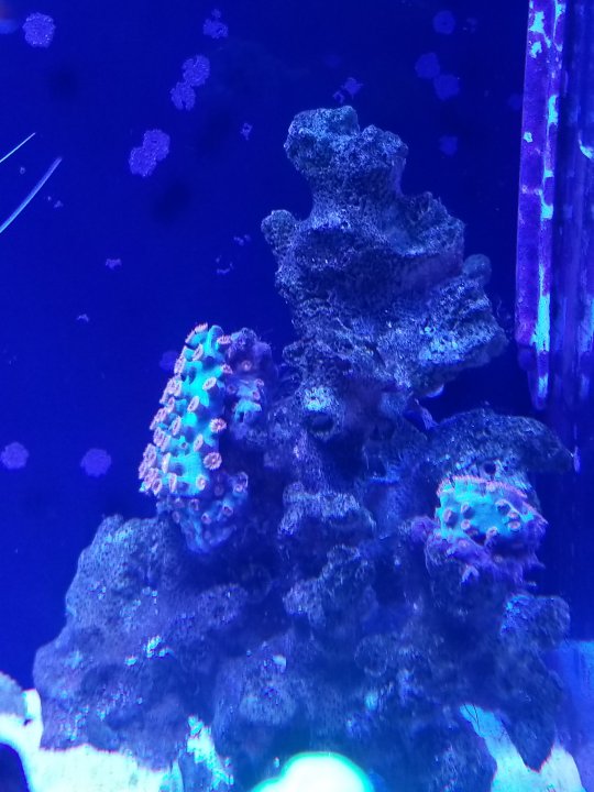 20201225_134442.jpg