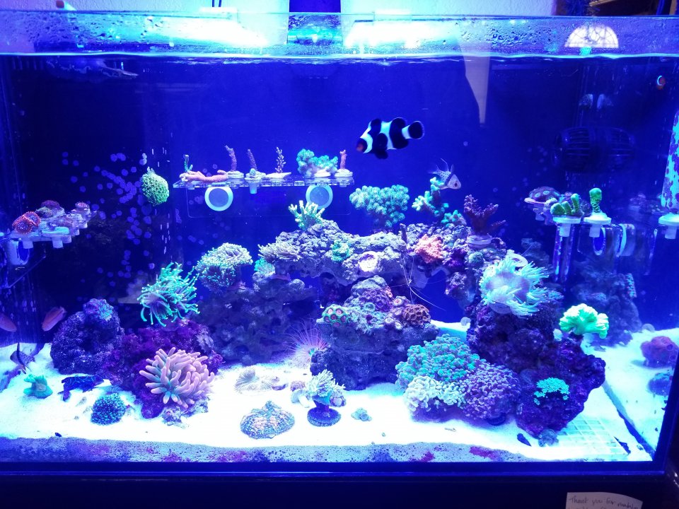 20201225_134654.jpg