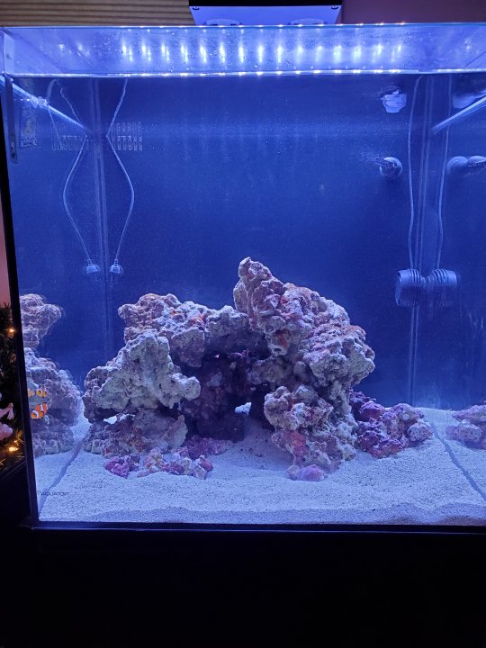 20201229_073739.jpg