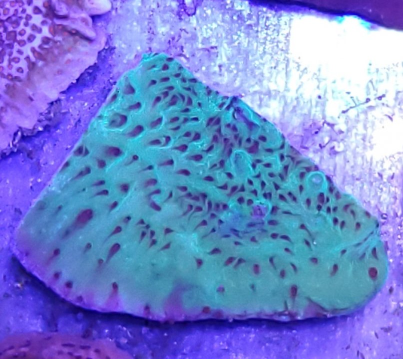 20201229_193704.jpg