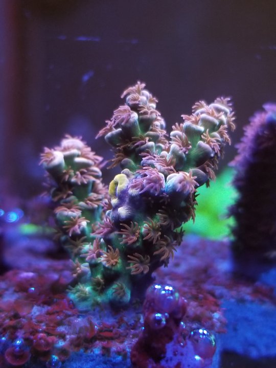 20201230_000029.jpg