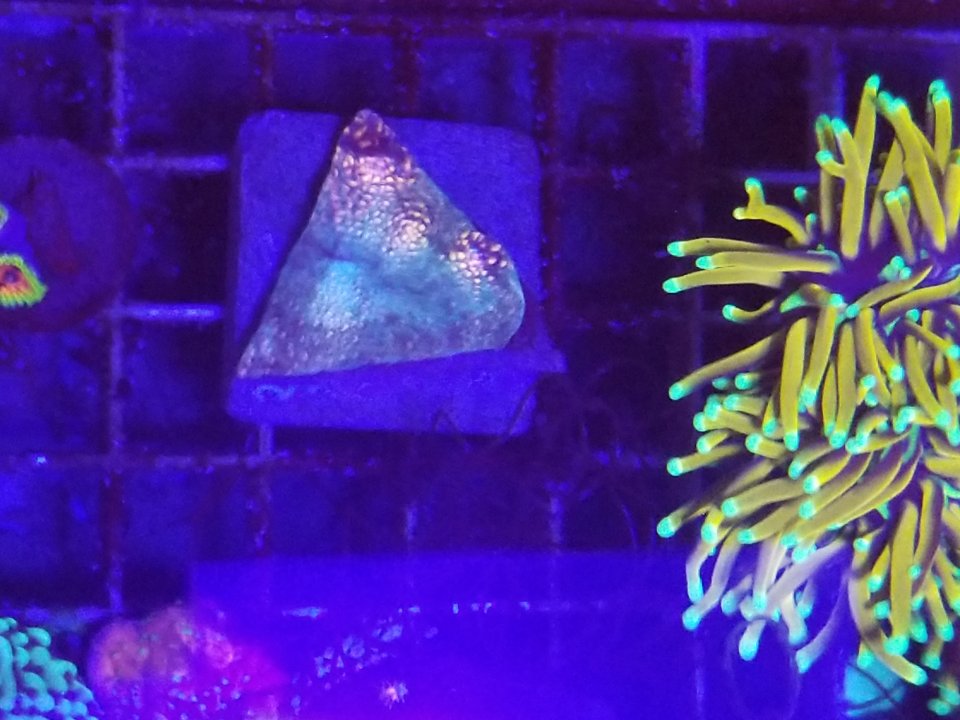 20201230_000108.jpg