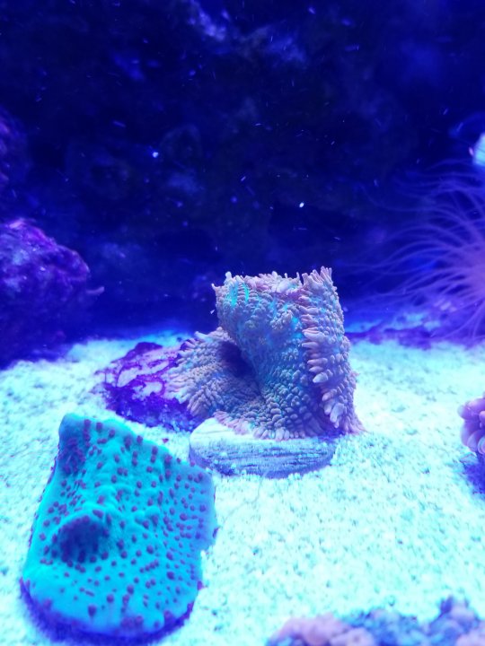 20201230_163501.jpg