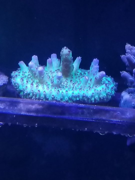 20201231_150842.jpg