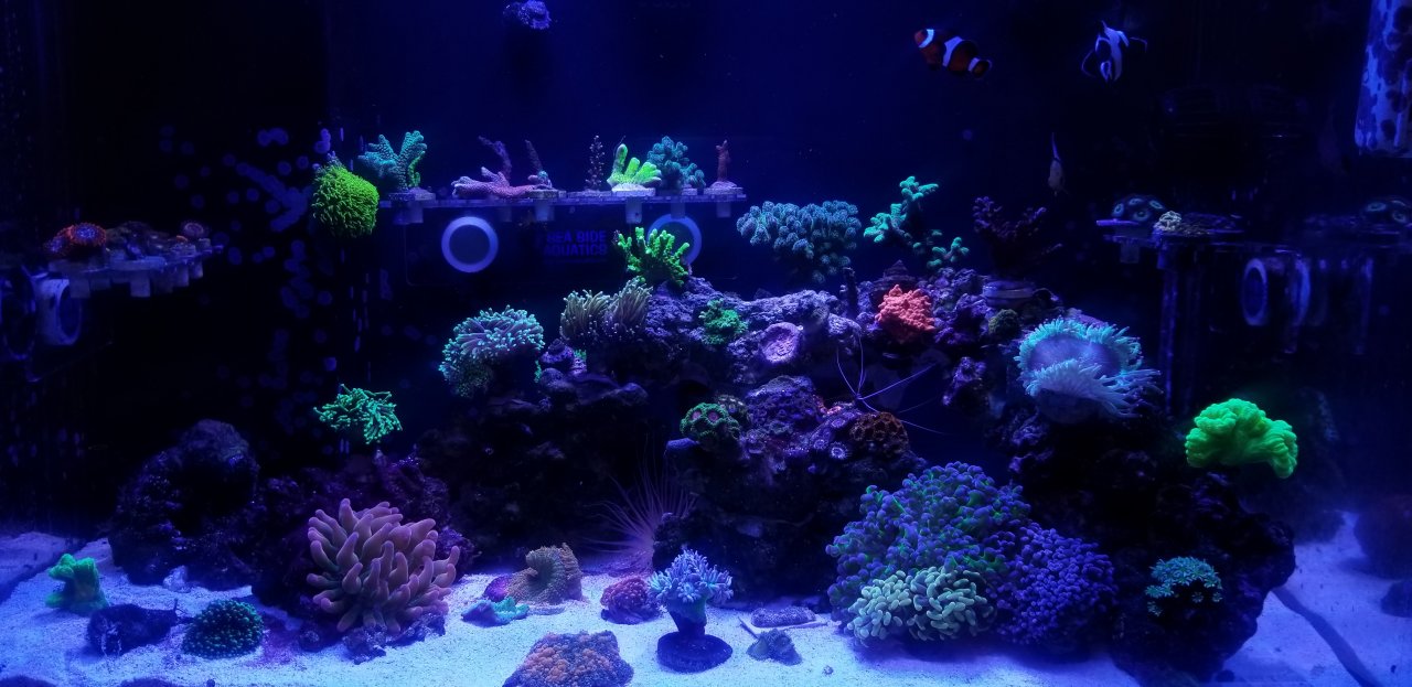 20201231_210425.jpg