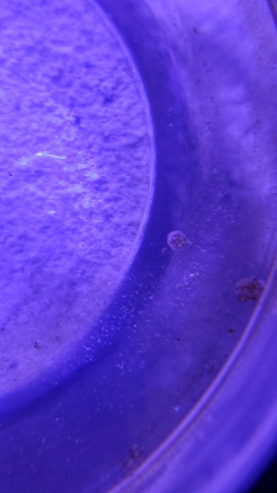 20210103_190846.jpg