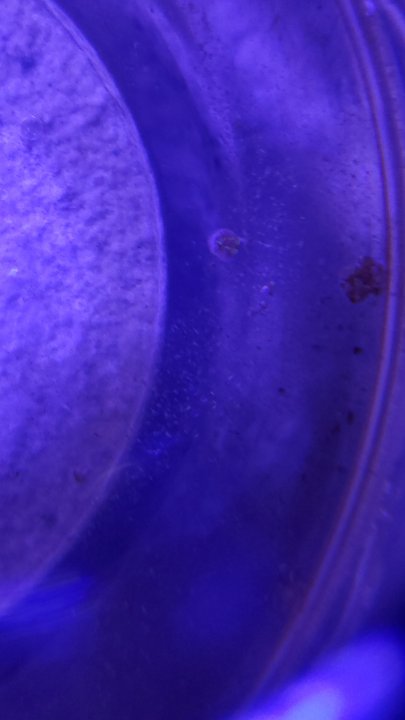 20210103_190931.jpg