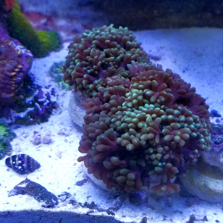 20210105_132335.jpg
